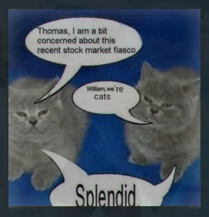 Wait, They Actually Made These Weird Memes? Yeah, We’re Confused Too!