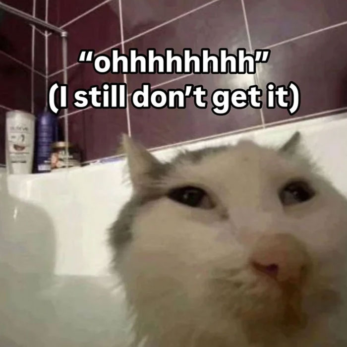Wait, They Actually Made These Weird Memes? Yeah, We’re Confused Too!