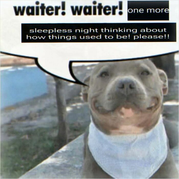Wait, They Actually Made These Weird Memes? Yeah, We’re Confused Too!