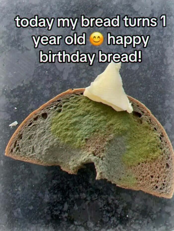 Wait, They Actually Made These Weird Memes? Yeah, We’re Confused Too!