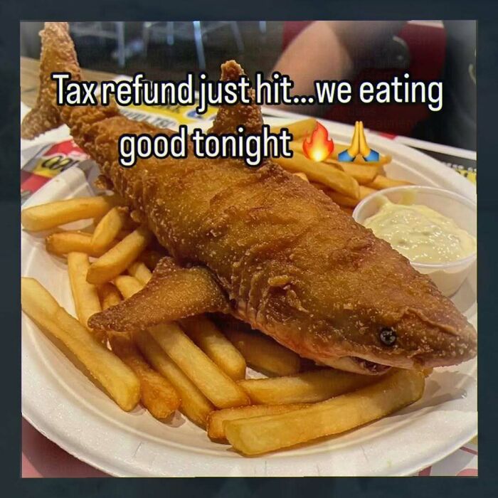 Wait, They Actually Made These Weird Memes? Yeah, We’re Confused Too!