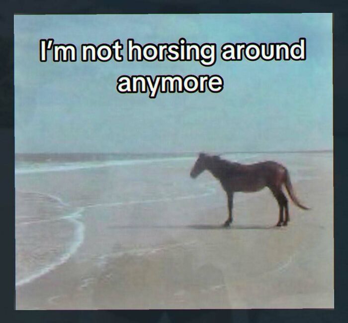 Wait, They Actually Made These Weird Memes? Yeah, We’re Confused Too!