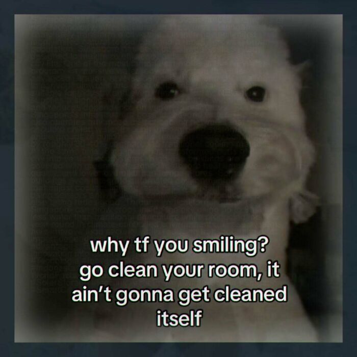 Wait, They Actually Made These Weird Memes? Yeah, We’re Confused Too!