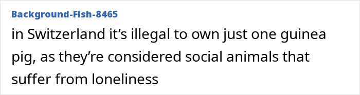 Wait, They Actually Made These Weird Laws?! 55 Laws That Are Just Plain Wacky