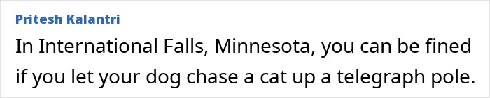 Wait, They Actually Made These Weird Laws?! 55 Laws That Are Just Plain Wacky