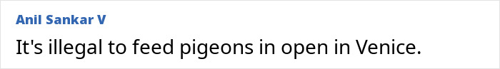 Wait, They Actually Made These Weird Laws?! 55 Laws That Are Just Plain Wacky