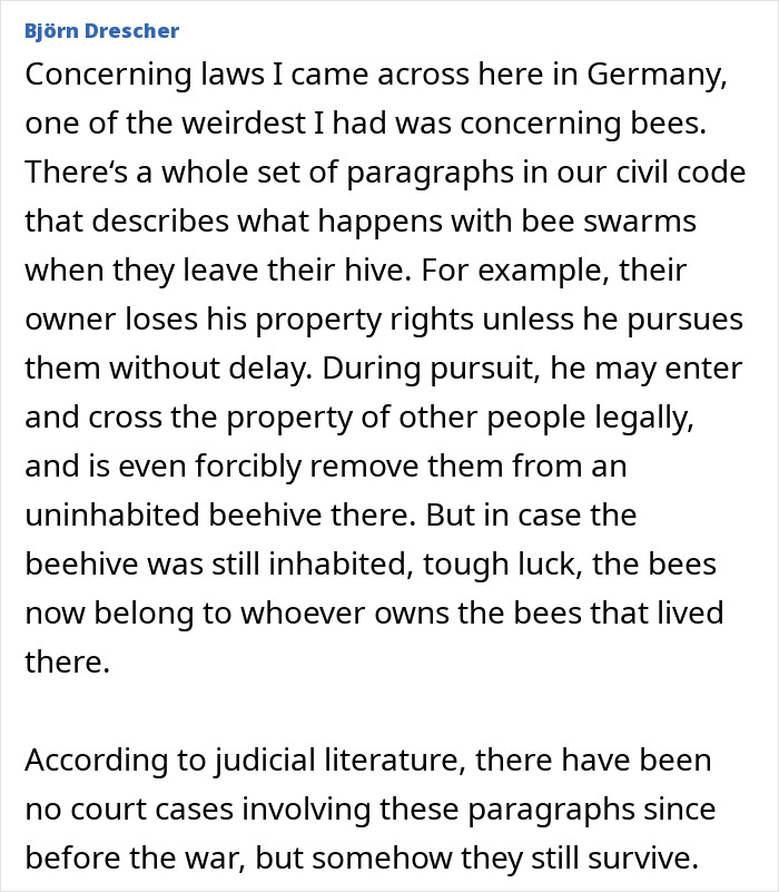 Wait, They Actually Made These Weird Laws?! 55 Laws That Are Just Plain Wacky