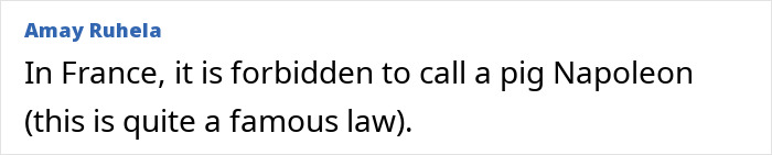 Wait, They Actually Made These Weird Laws?! 55 Laws That Are Just Plain Wacky