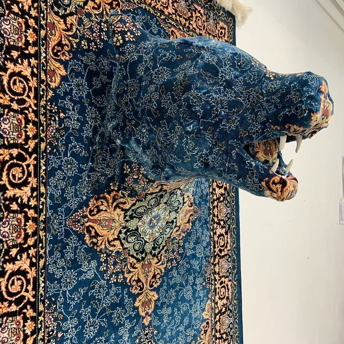 Blue Bear Head