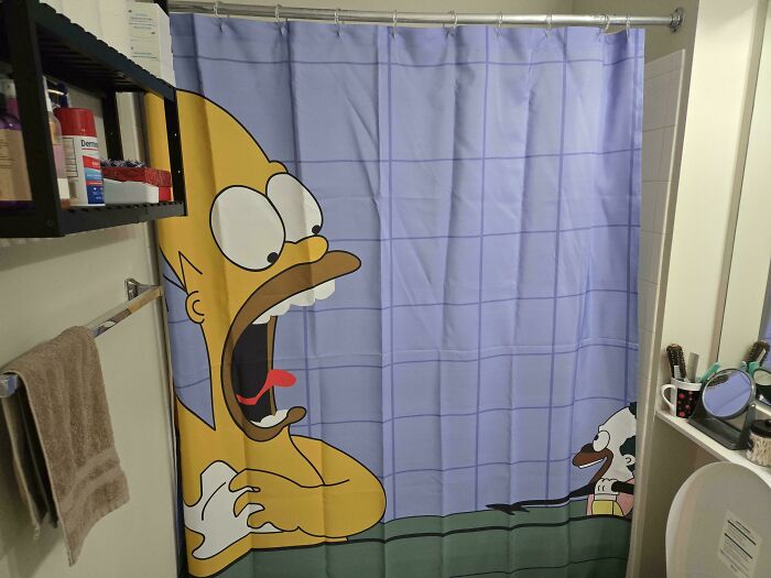 My Shiny New Shower Curtain And I’m Already Obsessed