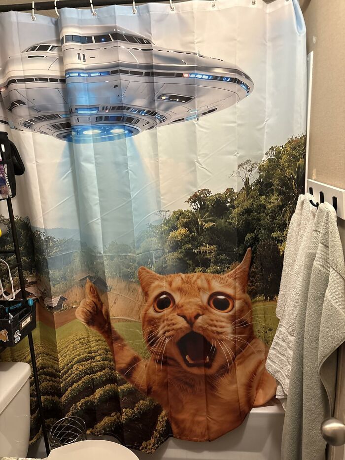 My Kids Lost Their Minds Over This Shower Curtain