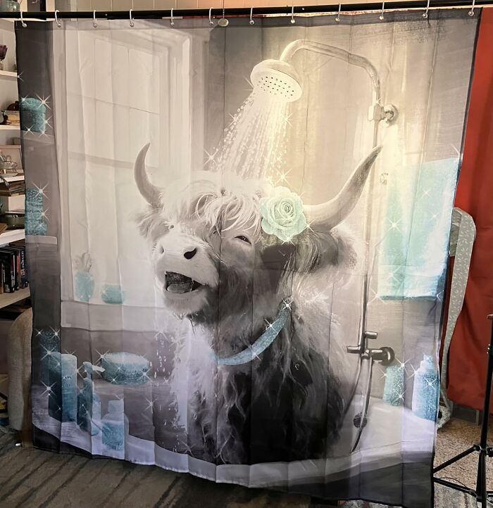 Highland Cow Shower Curtain? Absolutely