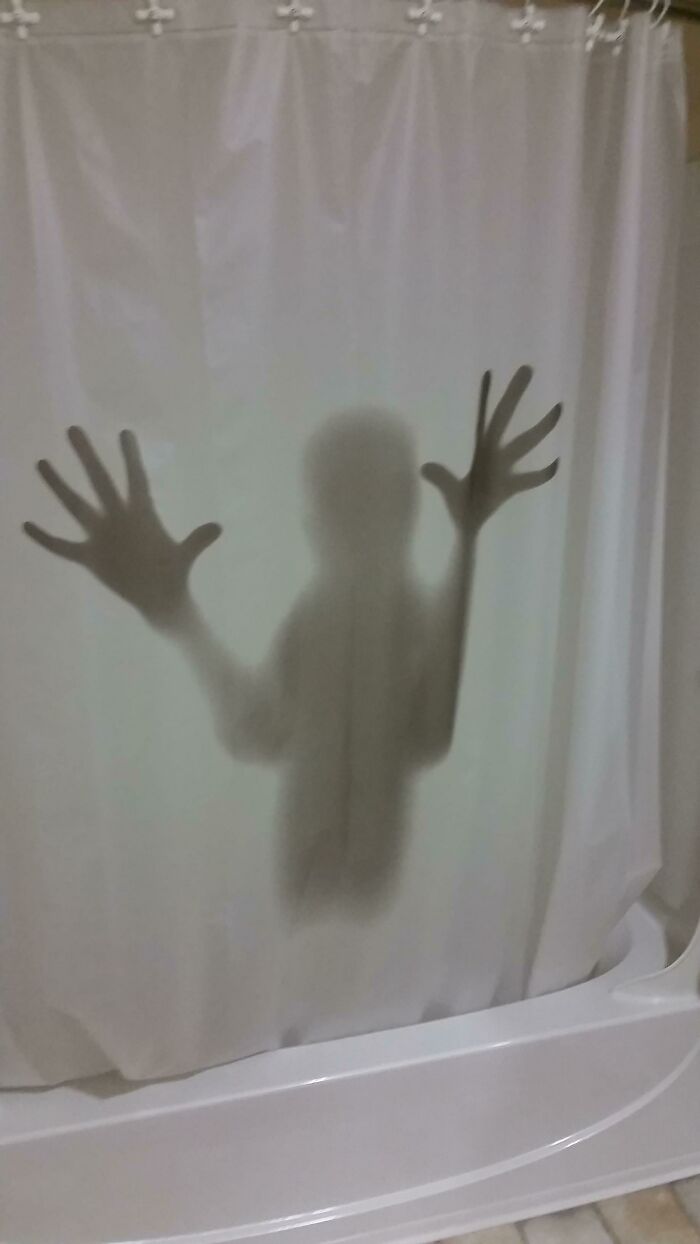 Visited My Friend's Bathroom and Nearly Had A Heart Attack Because Of Their Shower Curtain