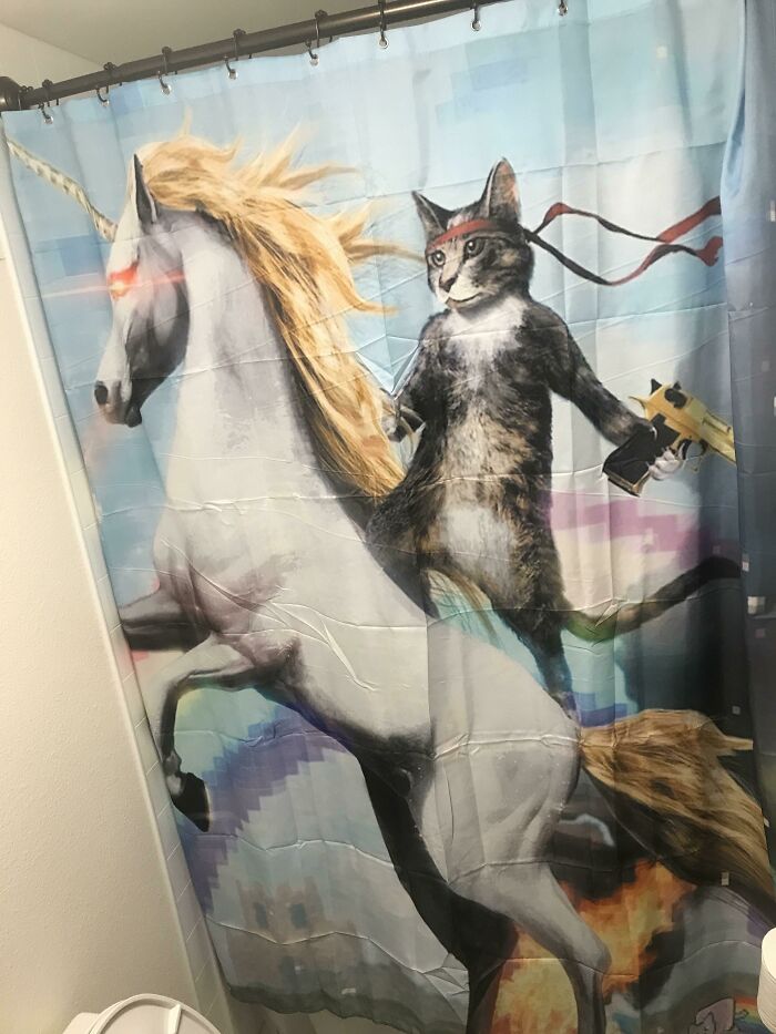 No Wife or GF, So Guess Who’s In Charge of The Shower Curtain (& Everything Else)