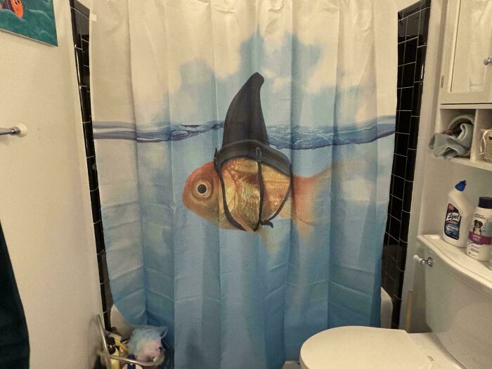 Just Hung Up My New Shower Curtain—Thoughts?