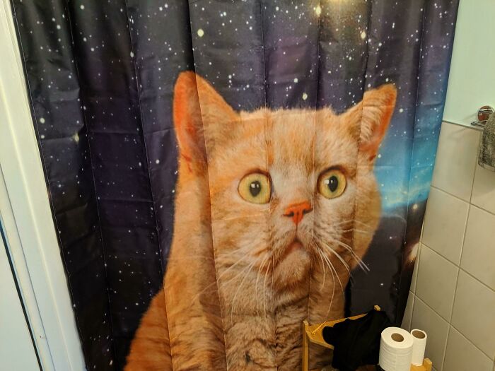 New Shower Curtain, Who Dis?