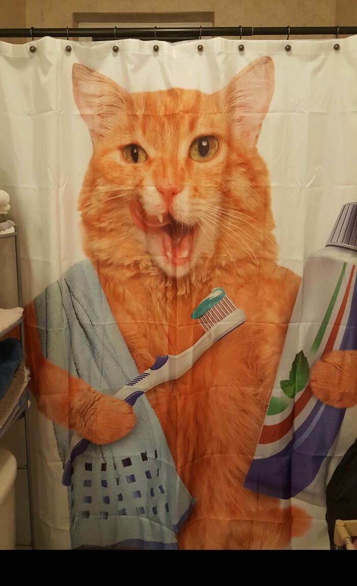 Wife’s Not Happy About My Shower Curtain Choice—Guess Who Wins?