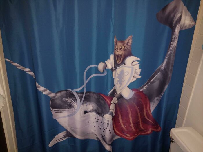 My Friend’s Shower Curtain Is Peak Weirdness