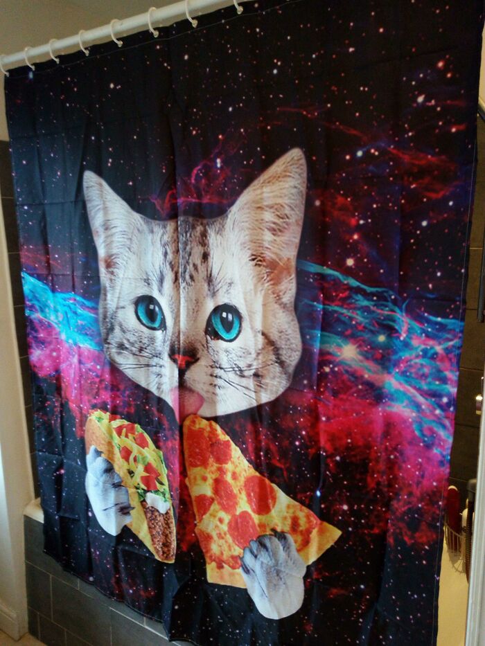 I Bought The Best Shower Curtain in The World, And SO Isn’t Happy