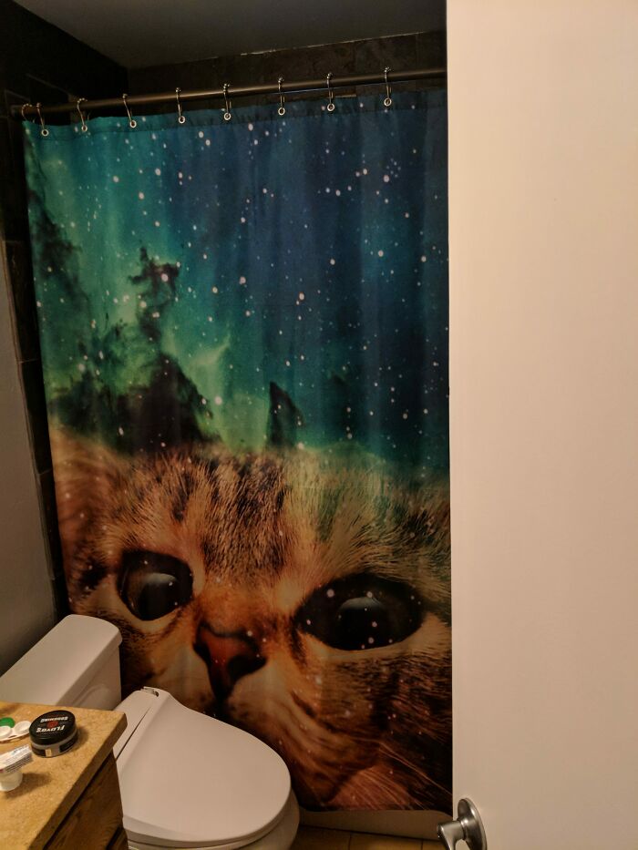 Wife Put A Stop To My Drunken Ebay Shower Curtain Buying Spree