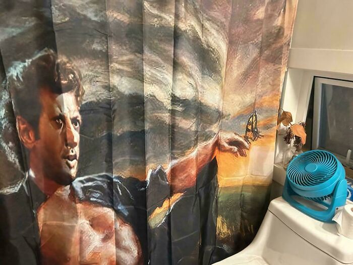 My Wife Texted Me This Picture of Our New Shower Curtain at Work—Instant Mood Booster