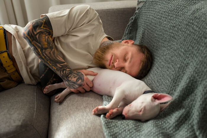 The 33 Wildest Wake-Up Moments That Totally Ruined Mornings