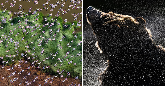 Check Out These Mind-Blowing Nature Patterns That Look Like Secret Art