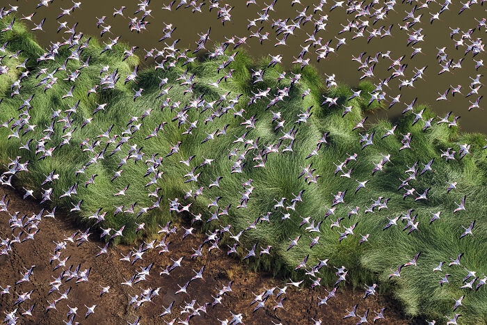 Check Out These Mind-Blowing Nature Patterns That Look Like Secret Art