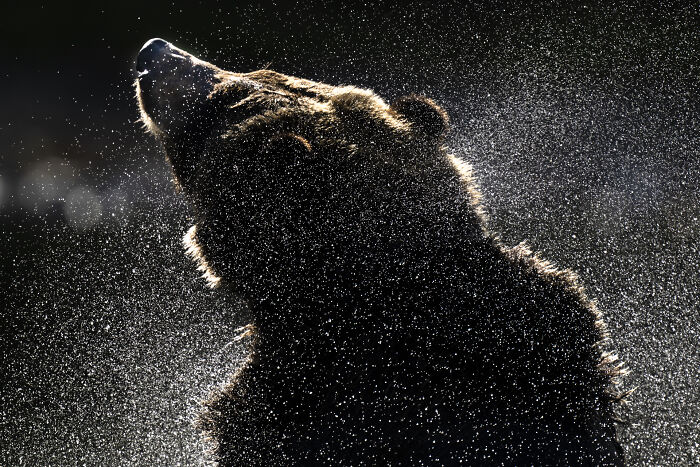 Check Out These Mind-Blowing Nature Patterns That Look Like Secret Art