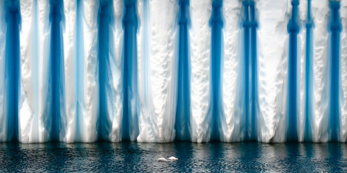 Check Out These Mind-Blowing Nature Patterns That Look Like Secret Art