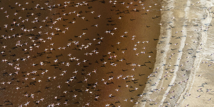 Check Out These Mind-Blowing Nature Patterns That Look Like Secret Art
