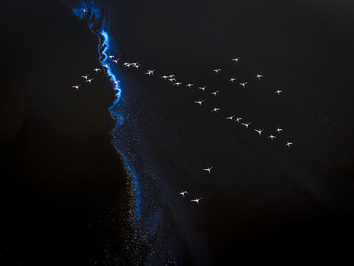Check Out These Mind-Blowing Nature Patterns That Look Like Secret Art