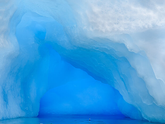 Check Out These Mind-Blowing Nature Patterns That Look Like Secret Art