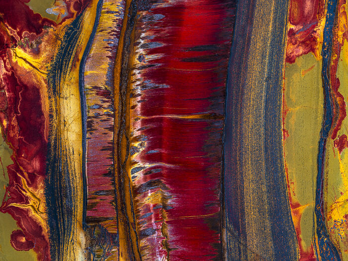 Check Out These Mind-Blowing Nature Patterns That Look Like Secret Art