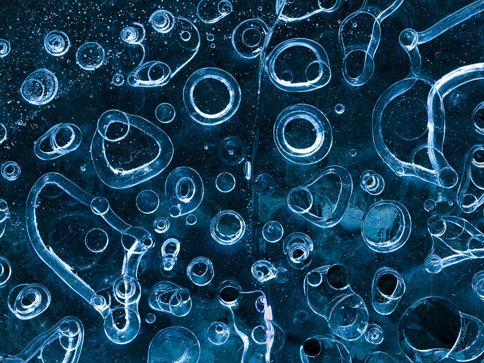 Check Out These Mind-Blowing Nature Patterns That Look Like Secret Art