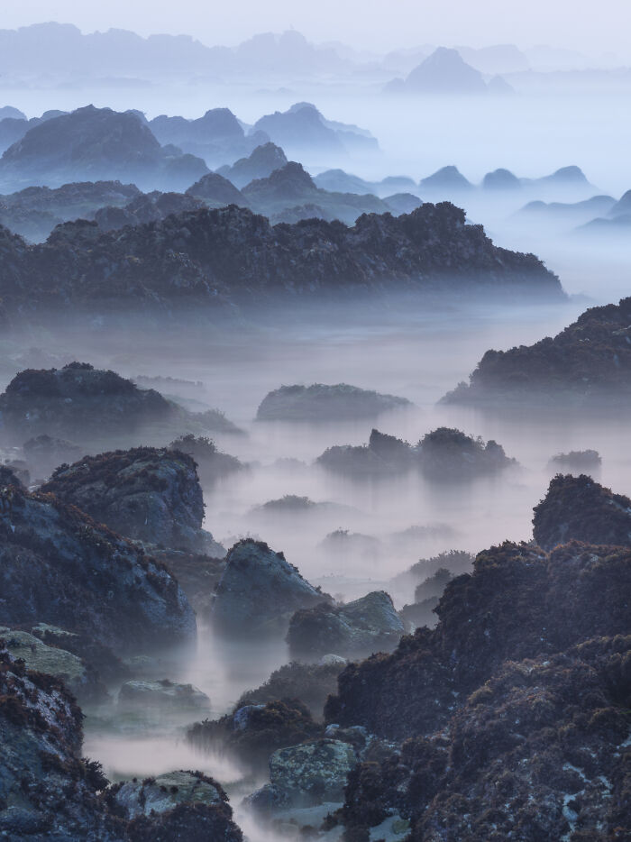 Check Out These Mind-Blowing Nature Patterns That Look Like Secret Art
