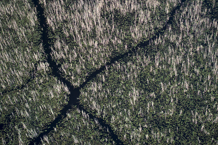 Check Out These Mind-Blowing Nature Patterns That Look Like Secret Art