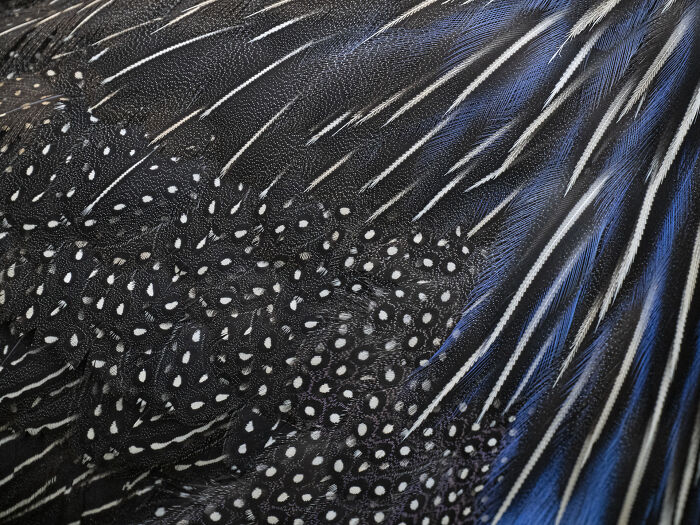 Check Out These Mind-Blowing Nature Patterns That Look Like Secret Art