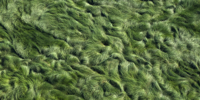 Check Out These Mind-Blowing Nature Patterns That Look Like Secret Art