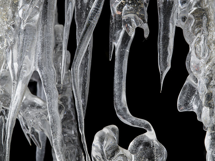 Check Out These Mind-Blowing Nature Patterns That Look Like Secret Art
