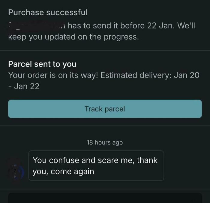 I Bought Lemon Pins And Got The Funniest Message