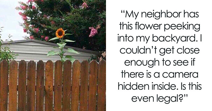 Wait, They Actually Posted THAT? Wild Neighbor Drama From Best Of Nextdoor