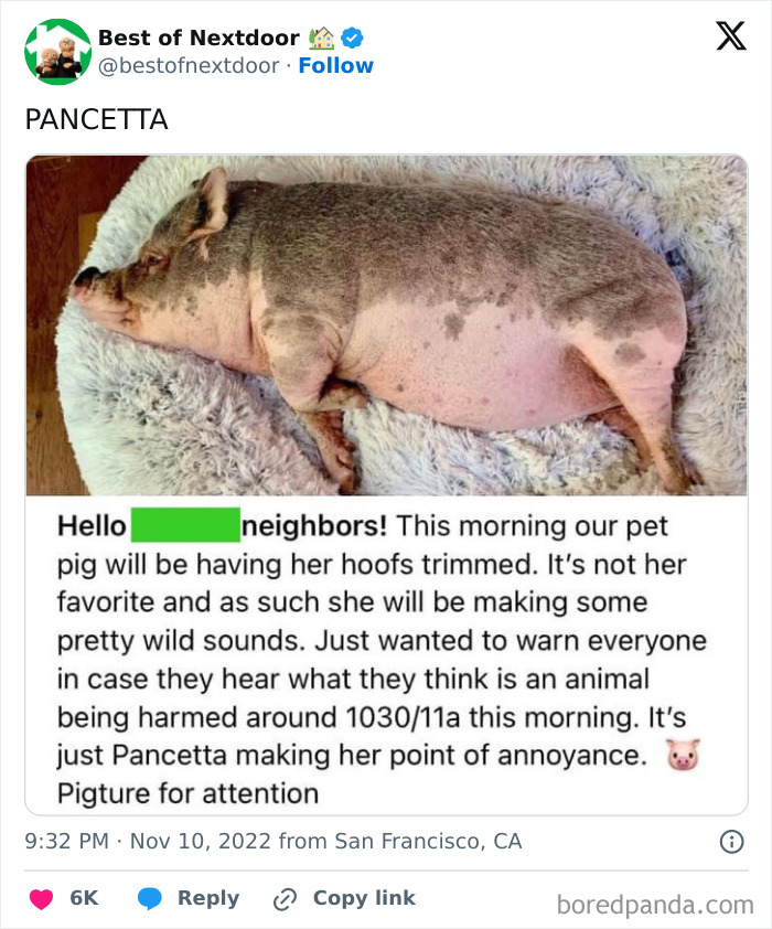 Wait, They Actually Posted THAT? Wild Neighbor Drama From Best Of Nextdoor