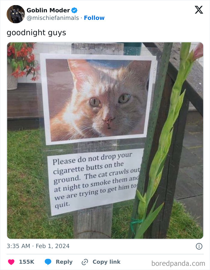 Wait, They Actually Posted THAT? Wild Neighbor Drama From Best Of Nextdoor