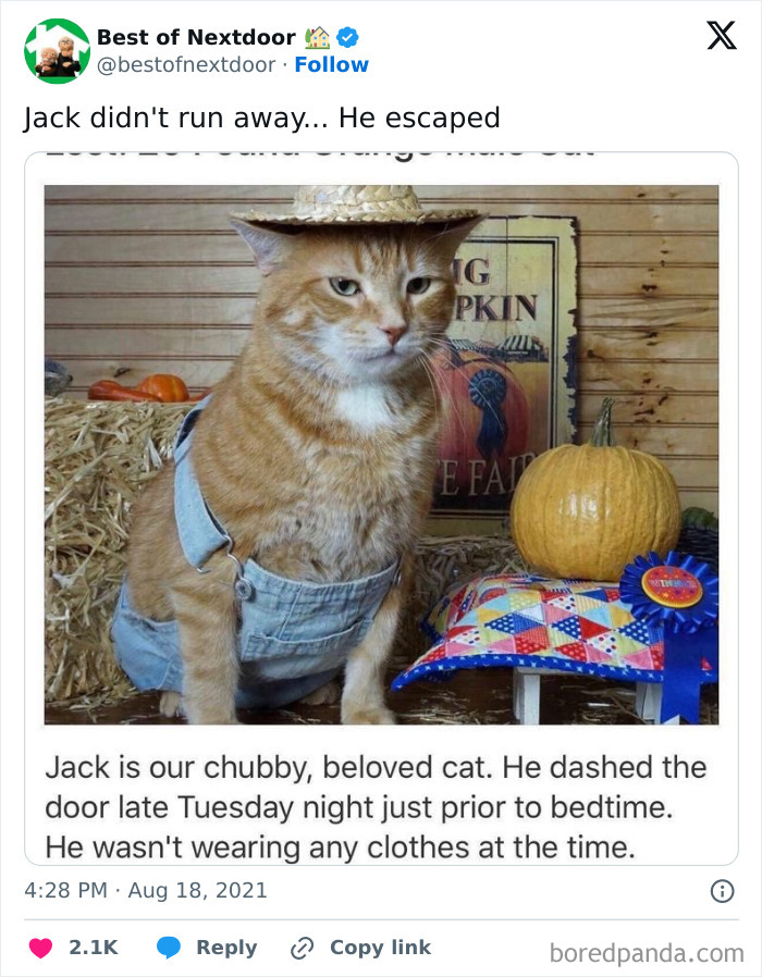 Wait, They Actually Posted THAT? Wild Neighbor Drama From Best Of Nextdoor
