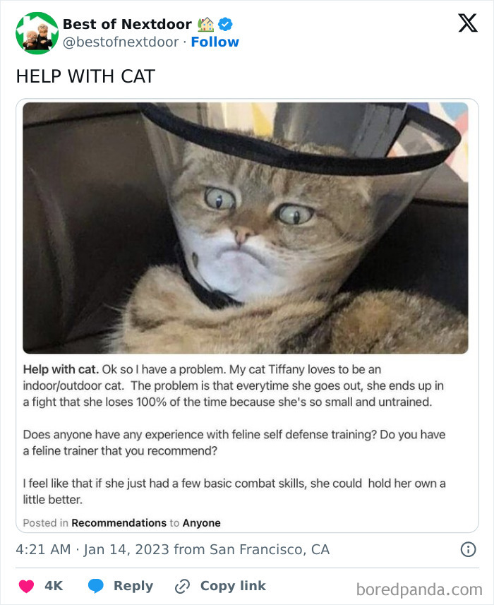 Wait, They Actually Posted THAT? Wild Neighbor Drama From Best Of Nextdoor
