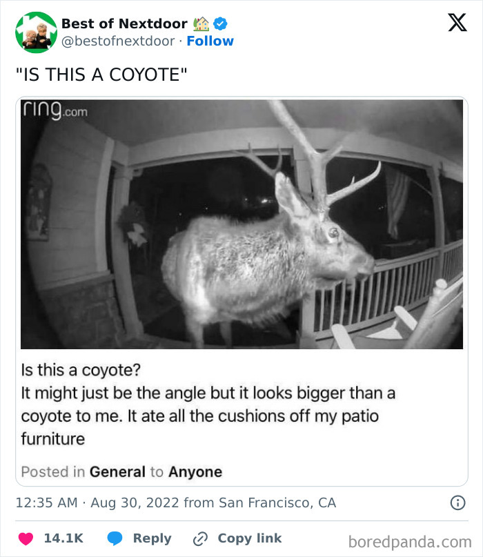 Wait, They Actually Posted THAT? Wild Neighbor Drama From Best Of Nextdoor