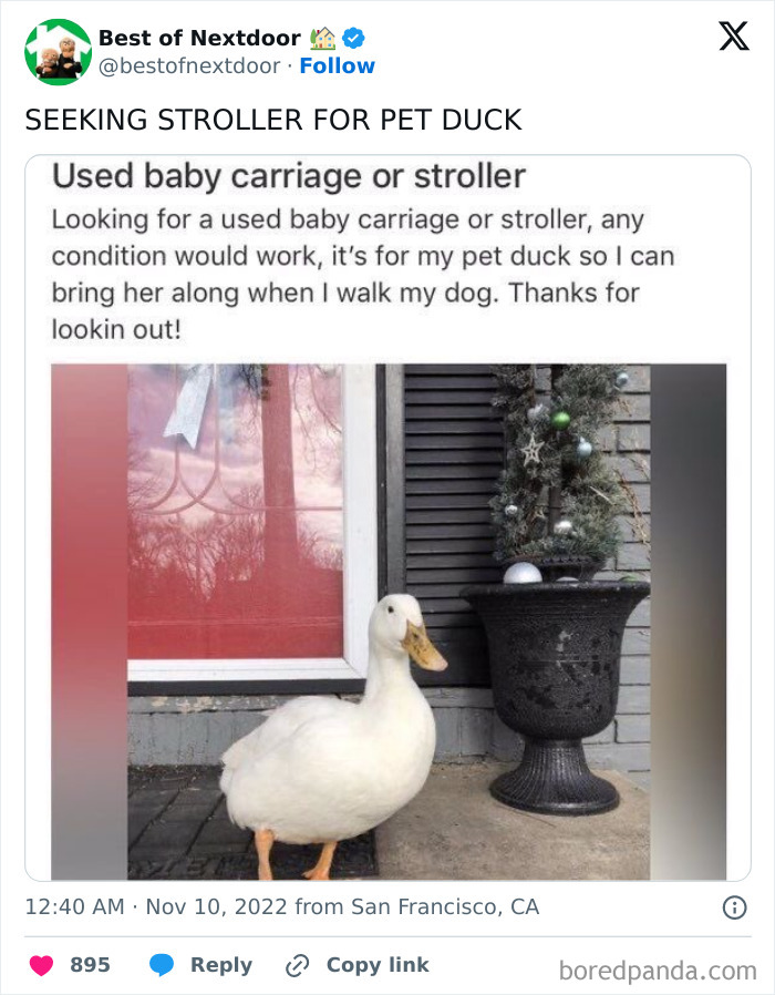 Wait, They Actually Posted THAT? Wild Neighbor Drama From Best Of Nextdoor