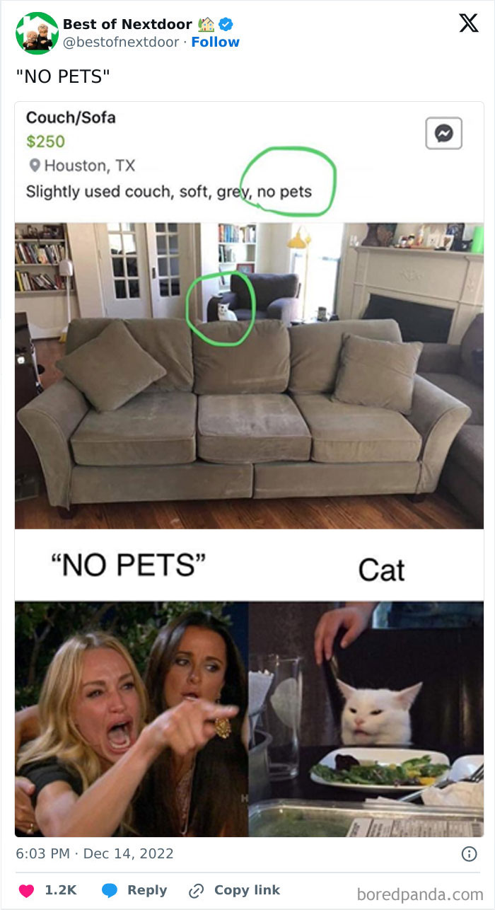 Wait, They Actually Posted THAT? Wild Neighbor Drama From Best Of Nextdoor
