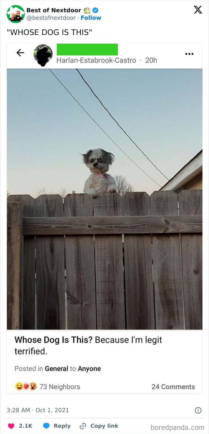 Wait, They Actually Posted THAT? Wild Neighbor Drama From Best Of Nextdoor